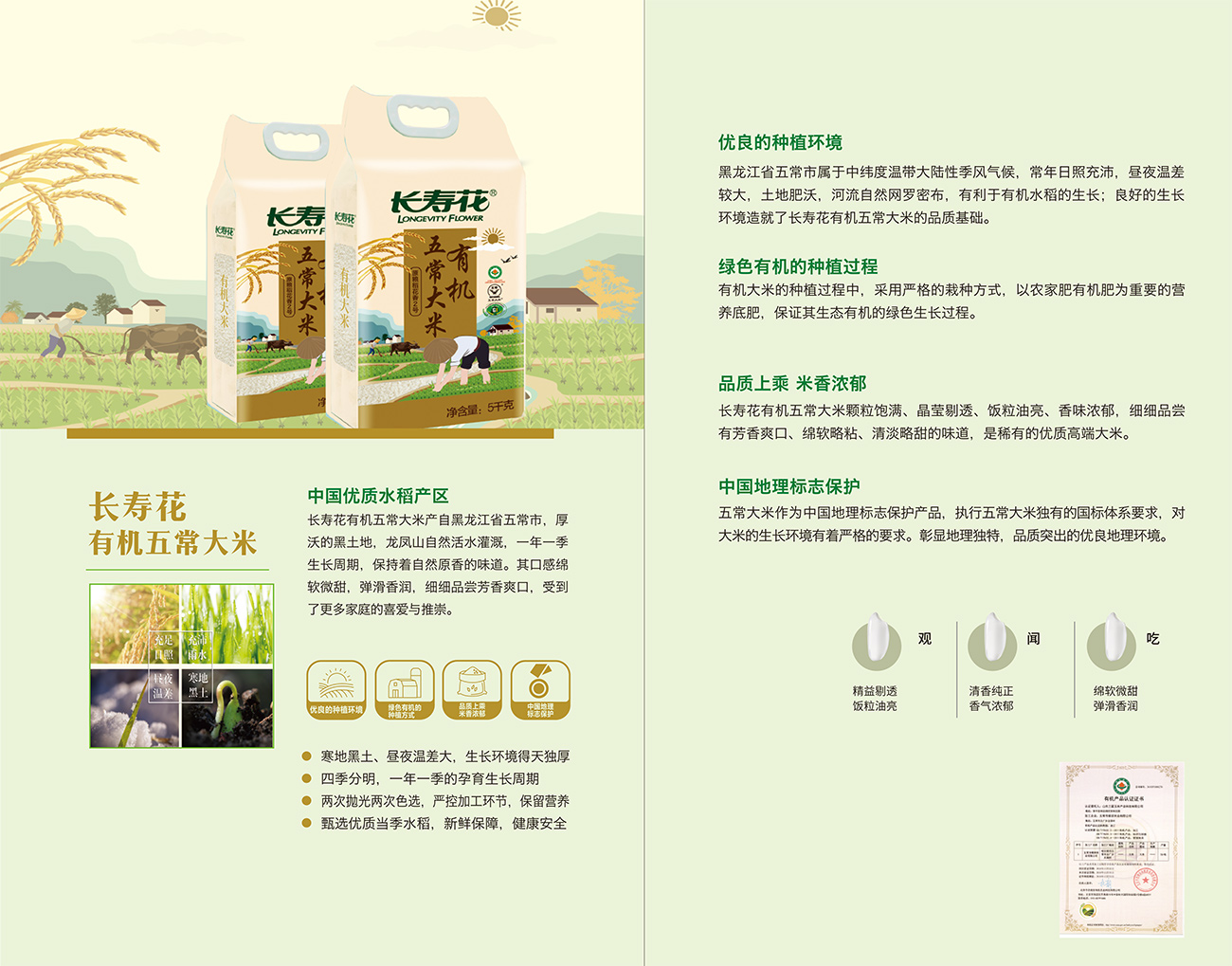 宝运莱_官方网站app下载