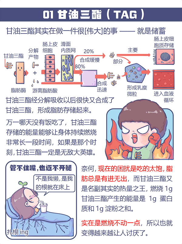 宝运莱_官方网站app下载