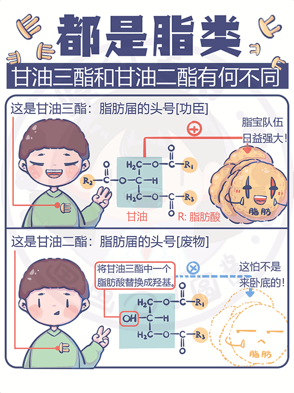 都是脂类甘油三酯和甘油二酯有何分歧？