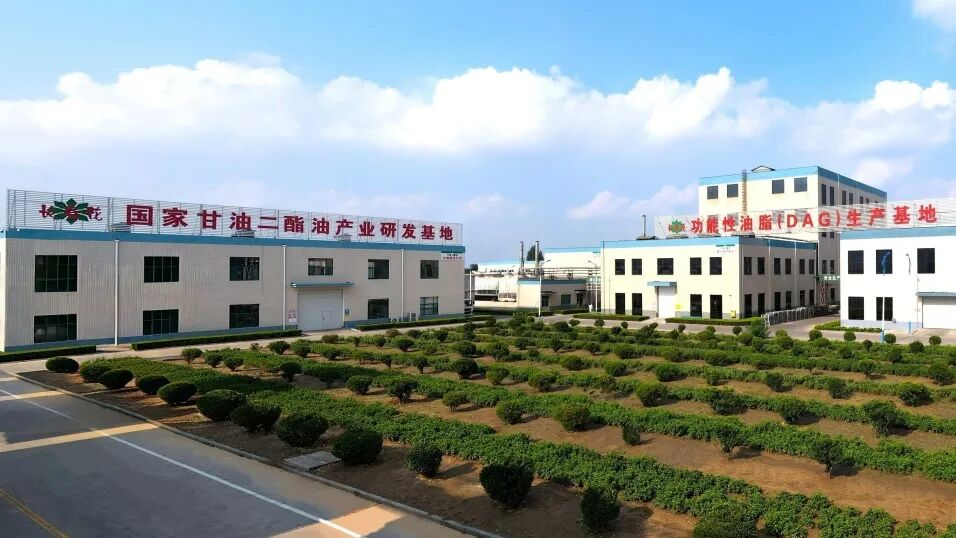 宝运莱_官方网站app下载