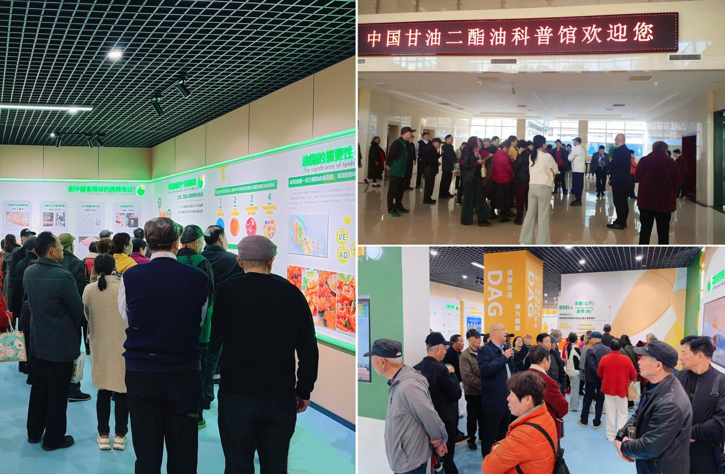 宝运莱_官方网站app下载