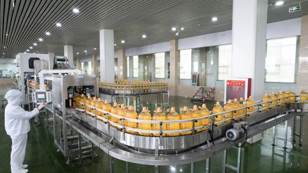 宝运莱包装车间：稳质提效奋战第四时度 凝心聚力冲刺整年指标