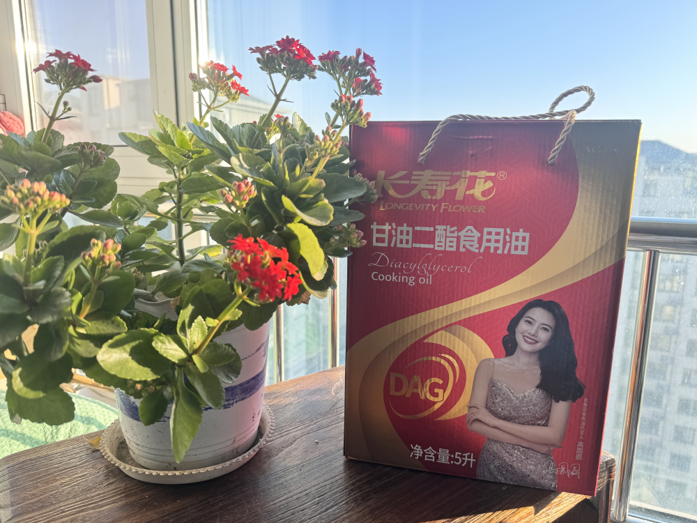 当“宝运莱”赶上「宝运莱」，所有美好践约而至
