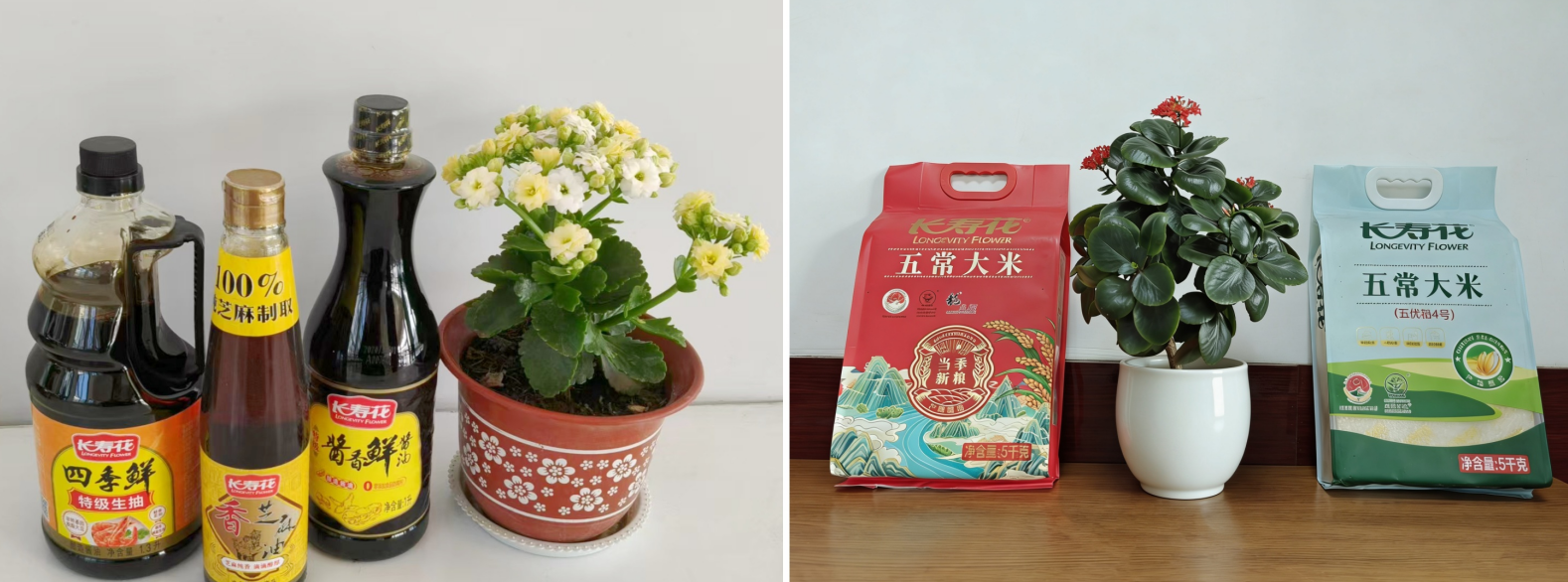 宝运莱_官方网站app下载