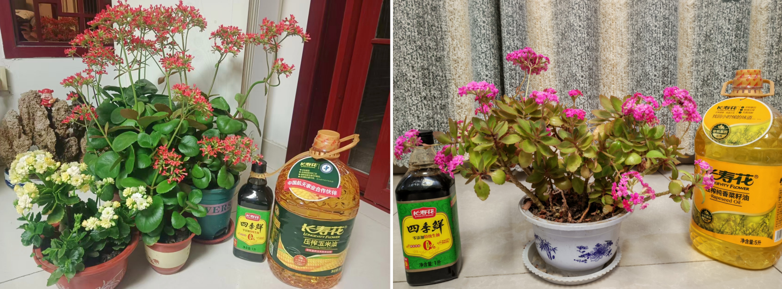 宝运莱_官方网站app下载