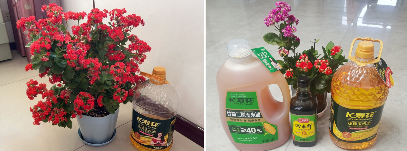 宝运莱_官方网站app下载